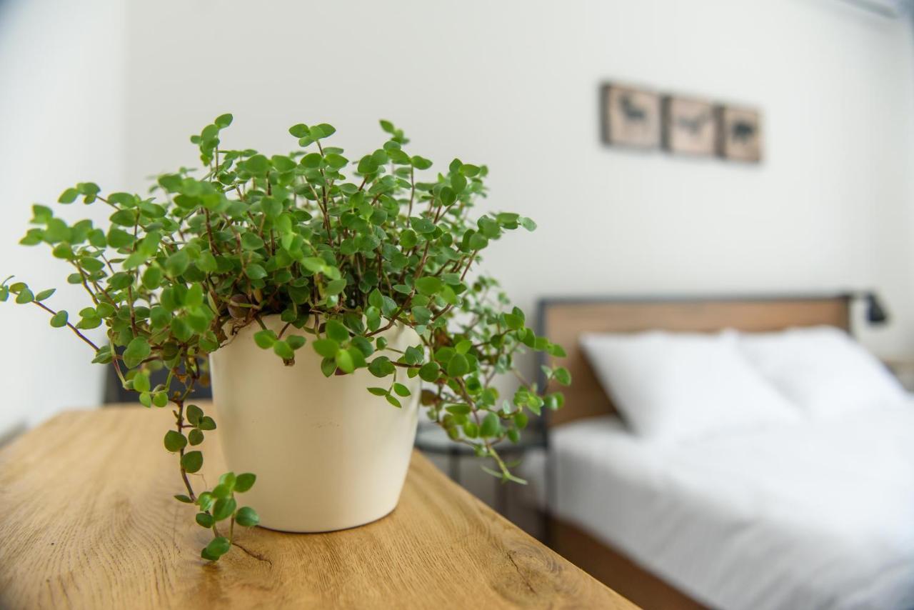 Tamtam Urban Aparthotel Kolozsvár Kültér fotó
